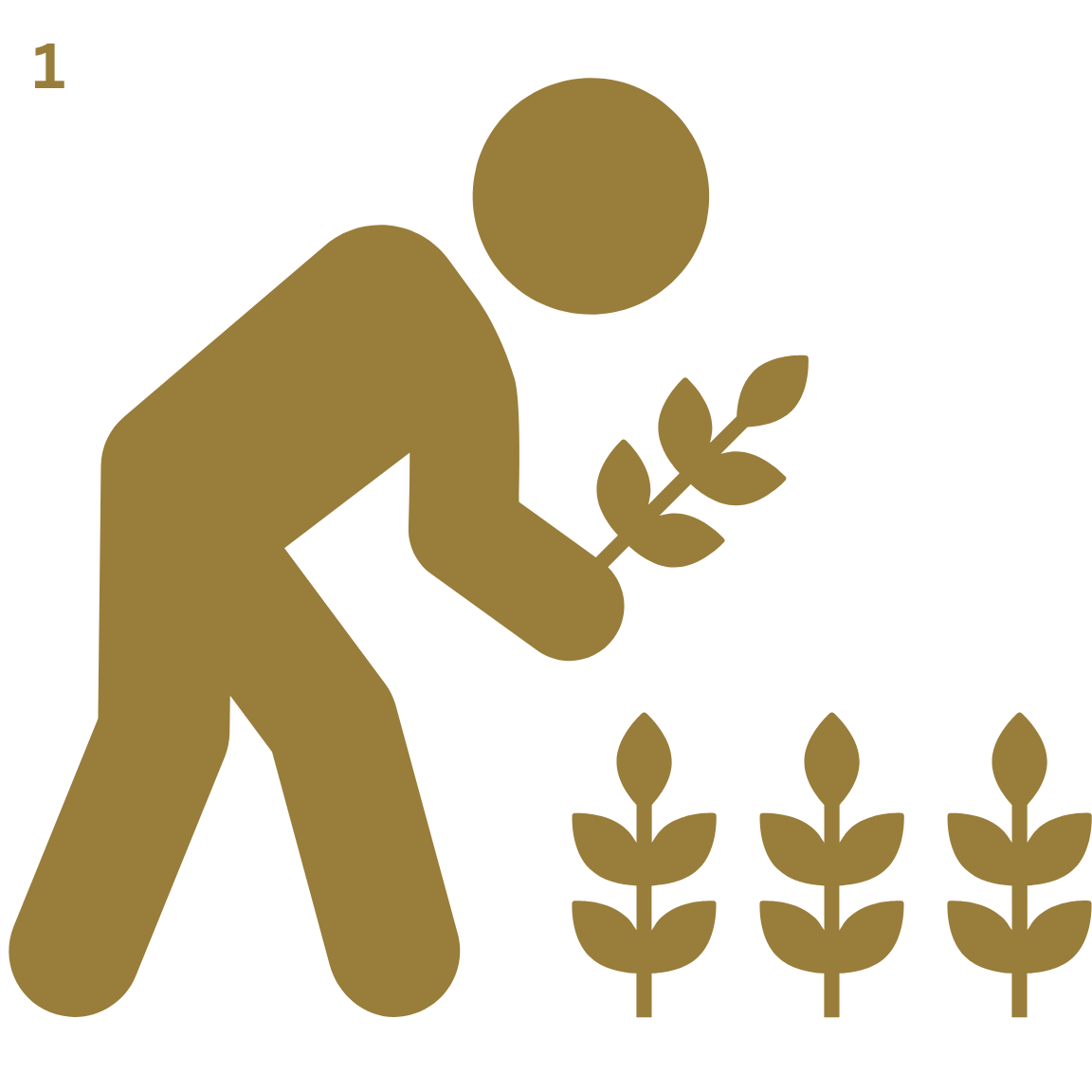 Harvest